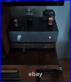 Alan Eaton 45st Tube Mono Blocks