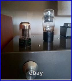 Alan Eaton 45st Tube Mono Blocks