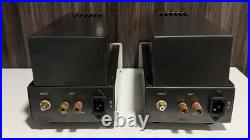 Antique Sound Lab Wave Tube Monoblock Amplifiers 8W RCA Banana