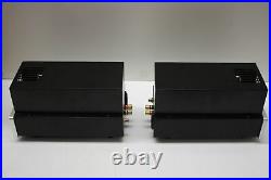 Antique Sound Labs Wave 8 tube Monoblock Amplifier pair with spares (tubes) AV-8
