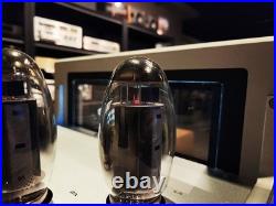 Audio Research REF160M Tube Monoblock Power Amplifiers / Pair SILVER