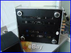 CAYIN 860 Mono Block Tube Amplifier pair