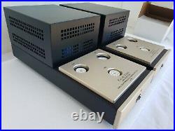 Canary Audio CA-300 Single-Ended Mono Block Tube Amplifiers in Mint Condition