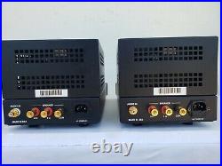 Canary Audio CA-300 Single-Ended Mono Block Tube Amplifiers in Mint Condition