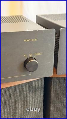 Cary Audio CAD-50SL Tube Monoblock Amplifiers