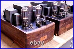 Custom Monster Para 211/845 PSE Vacuum Tube Monoblock Amp Used