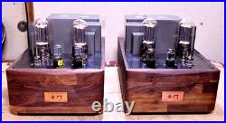 Custom Monster Para 211/845 PSE Vacuum Tube Monoblock Amp Used