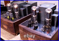 Custom Monster Para 211/845 PSE Vacuum Tube Monoblock Amp Used