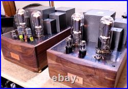 Custom Monster Para 211/845 PSE Vacuum Tube Monoblock Amp Used