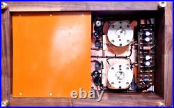Custom Monster Para 211/845 PSE Vacuum Tube Monoblock Amp Used