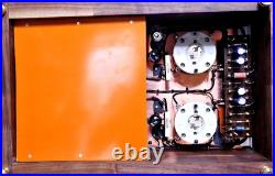 Custom Monster Para 211/845 PSE Vacuum Tube Monoblock Amp Used