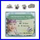 Dental Orthodontic Buccal Tubes 1st 2nd Molar MBT Roth 022 Monoblock Convertible