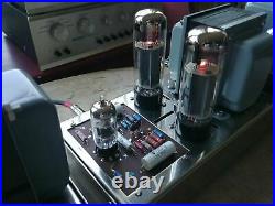 Dynaco Mk IV Monoblock Tube Amplifiers Professionally Restored Matched Pair