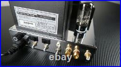 Golden Tube Audio SE 300B Single-Ended Triode MonoBlock Power Amplifier