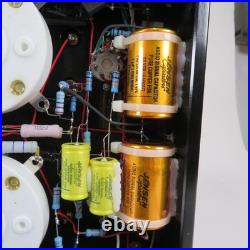 Icon Audio MB845 DS Signature Edition with Jensen capacitors in wooden crate