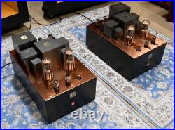 Made To Order Monster Para 211PSE Tube Monoblock Amp 40W Used