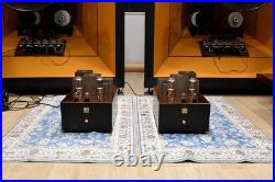 Made To Order Monster Para 211PSE Tube Monoblock Amp 40W Used