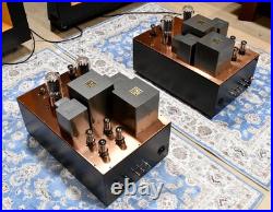 Made To Order Monster Para 211PSE Tube Monoblock Amp 40W Used