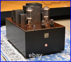 Made To Order Monster Para 211PSE Tube Monoblock Amp 40W Used