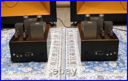 Made To Order Monster Para 211PSE Tube Monoblock Amp 40W Used