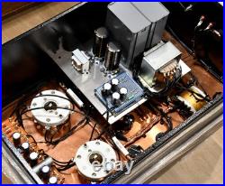 Made To Order Monster Para 211PSE Tube Monoblock Amp 40W Used