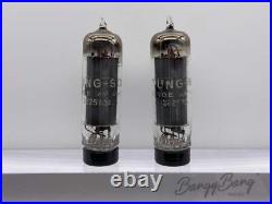 Matched Pair Tungsol 6AQ5/6005/6V6 Power Pentode Amplifier Audio Vacuum Tube Val
