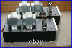 Monoblock tube amps