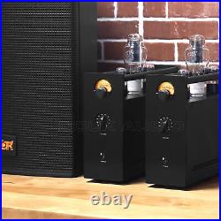 Nobsound 300B Monoblock Vacuum Tube Integrated Amplifiers Class A HiFi Power Amp