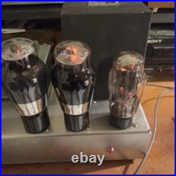 Orthophonic Monoblock Power Amps Pair Vintage