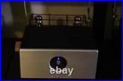 Pair of Rogue Audio M-180 monoblock power amplifiers