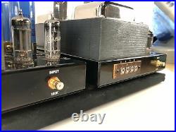 Quicksilver 300B PROTOTYPE Tube Monoblock Amplifiers One of a Kind