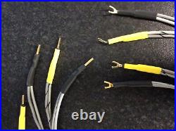 RARE Audio Note QSSR (AN-Vx) Speaker Cables, For Mono Block Tube Amps (Kondo)