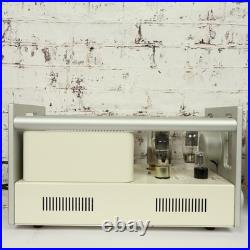 Rivals by Himing Mona 845 Monoblock Tube Amplifier Pair Class A 30W