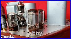 Stunning Mint pair of unique classic Mono Block vacuum tube Amplifier Monoblocks