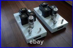 Triode Lab 211M monoblock amplifiers (pair) with tubes (local only)