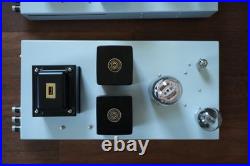Triode Lab 211M monoblock amplifiers (pair) with tubes (local only)