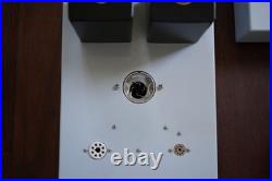 Triode Lab 211M monoblock amplifiers (pair) with tubes (local only)