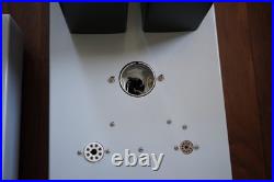 Triode Lab 211M monoblock amplifiers (pair) with tubes (local only)