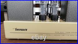 UESUGI U. BROS-11 Monoblock Tube and EL34 2x12AU7 Used